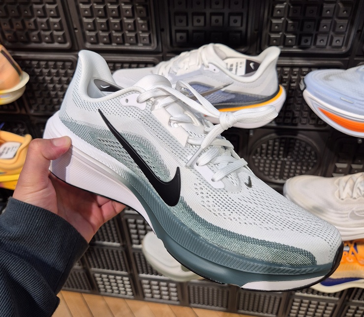 나이키 국민 러닝화 페가수스