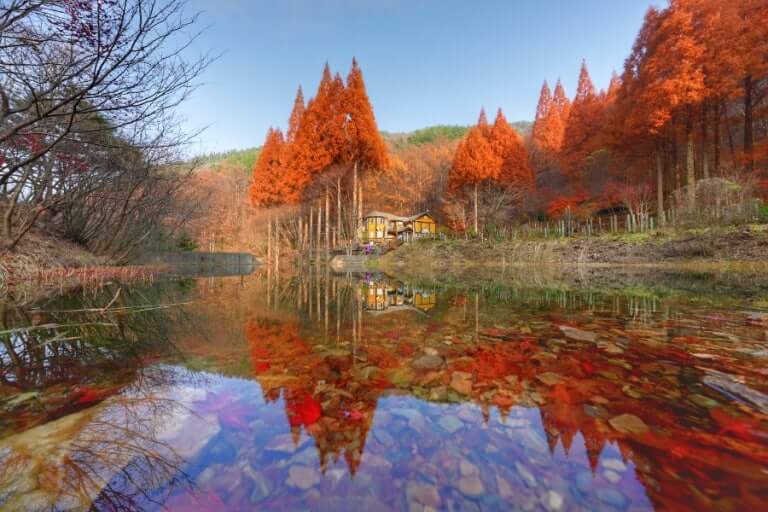 2025 논산 온빛자연휴양림 단풍 절정시기 및 주차, 맛집, 주변명소 사진