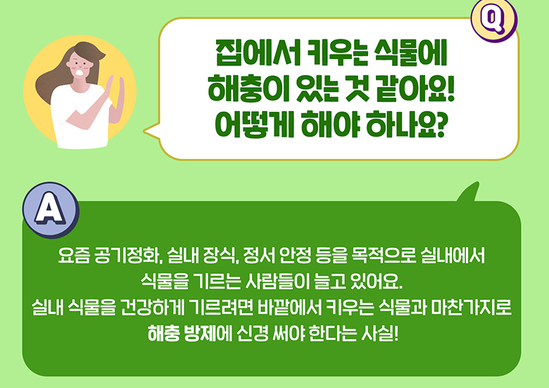 실내식물 튼튼하게 기르는 법