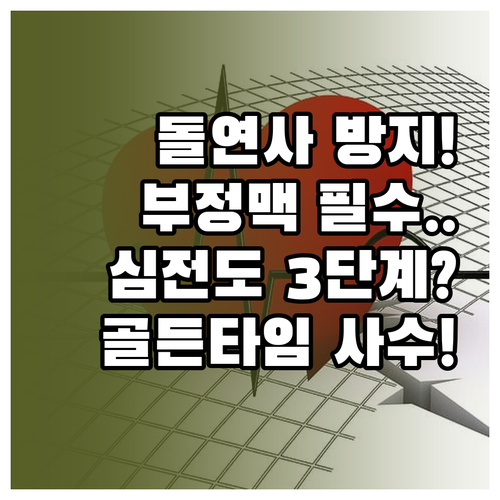 돌연사 위험 부정맥 심전도 자가 측정..
