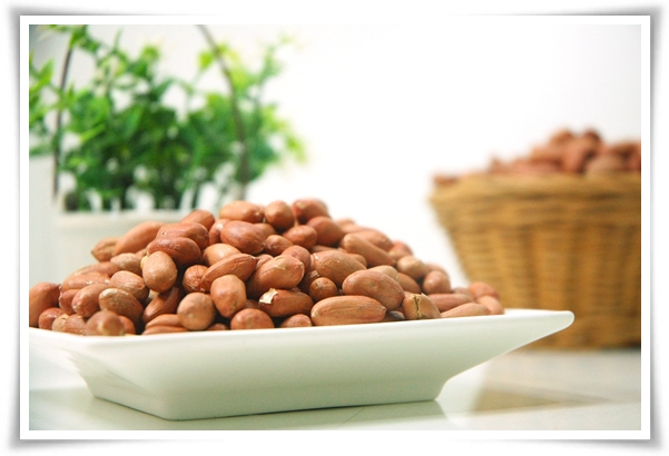 &quot;9월, 땅콩 수확 시작하세요!&quot; 수확 시기/수확/건조/활용법/건강 상 이점