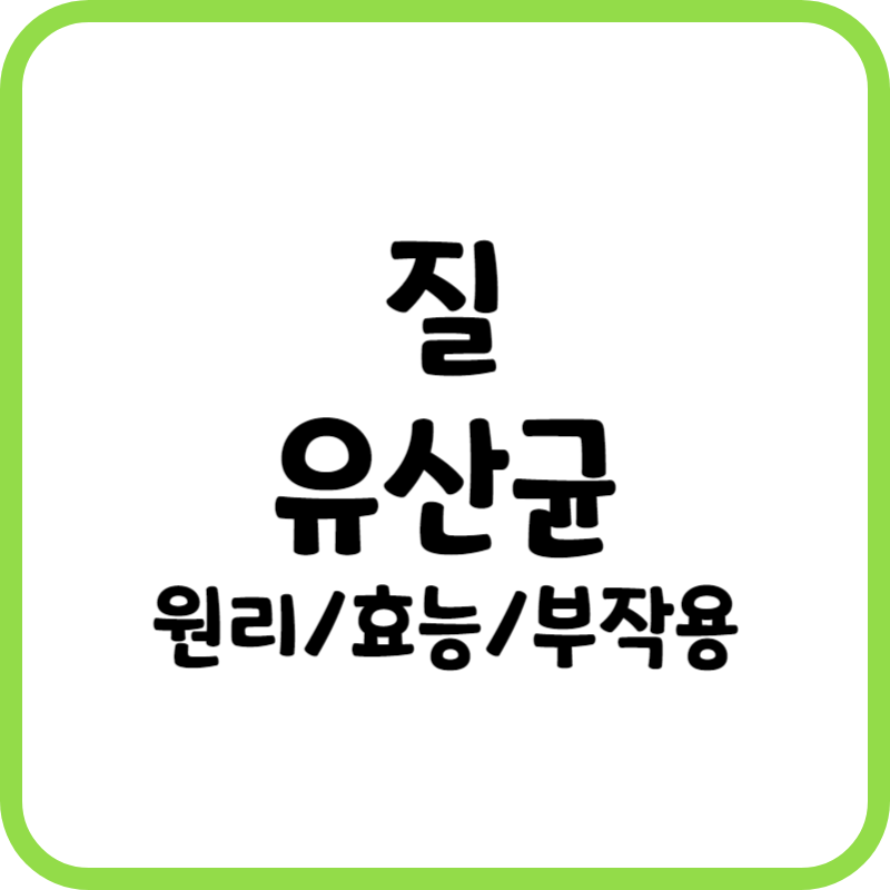 질 유산균 효능