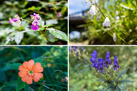 여름에 걷기 좋은 숲길 10