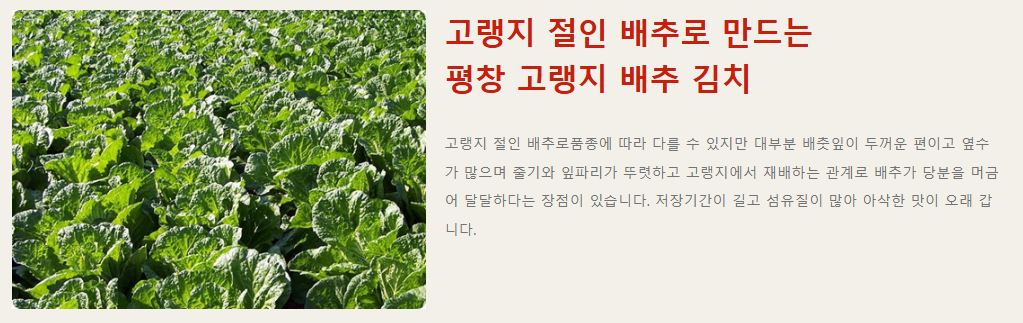 김장 축제