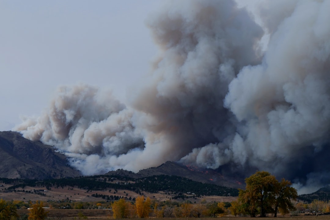 Wildfire