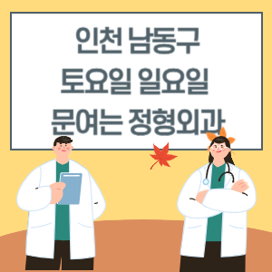 인천 남동구 토요일 일요일 정형외과 진료 병원 리스트
