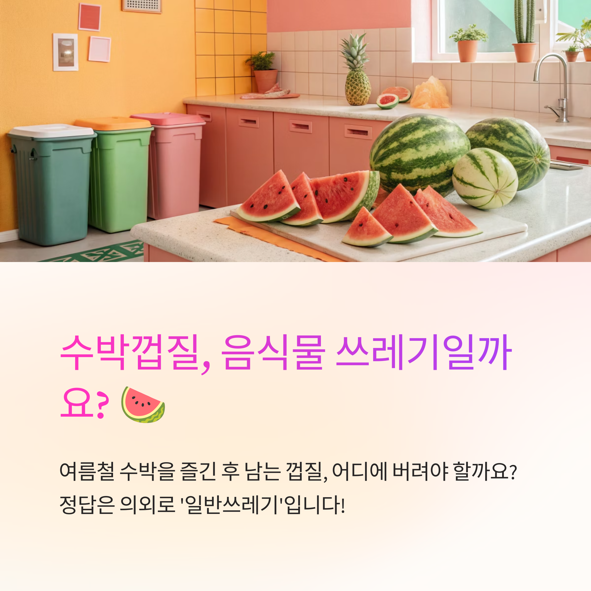 수박껍질 분리수거 음식물일까
