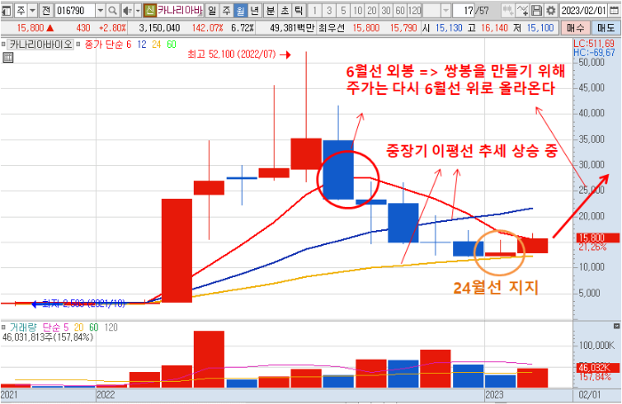 2월 17일 카나리아바이오 월봉 차트