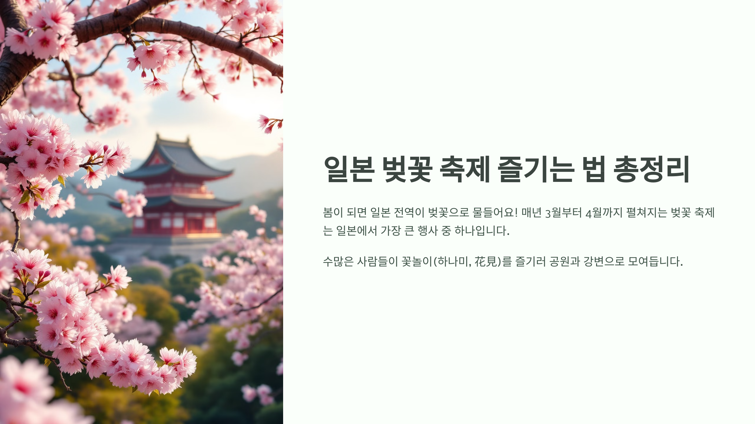 🌸 일본 벚꽃 축제, 즐기는 법 총정리!
