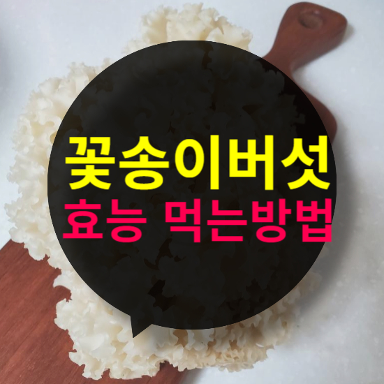 꽃송이 버섯 효능 먹는 방법, 발효 효소 추천