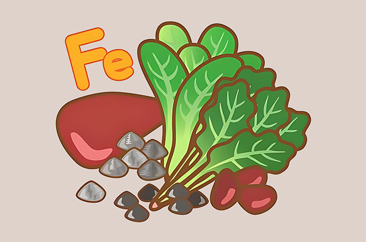 철분-함유-음식의-모습