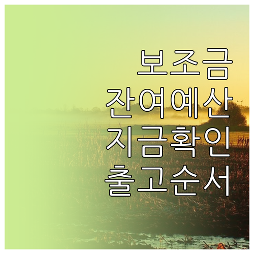 전기차 보조금 실시간 잔여 예산 조회..