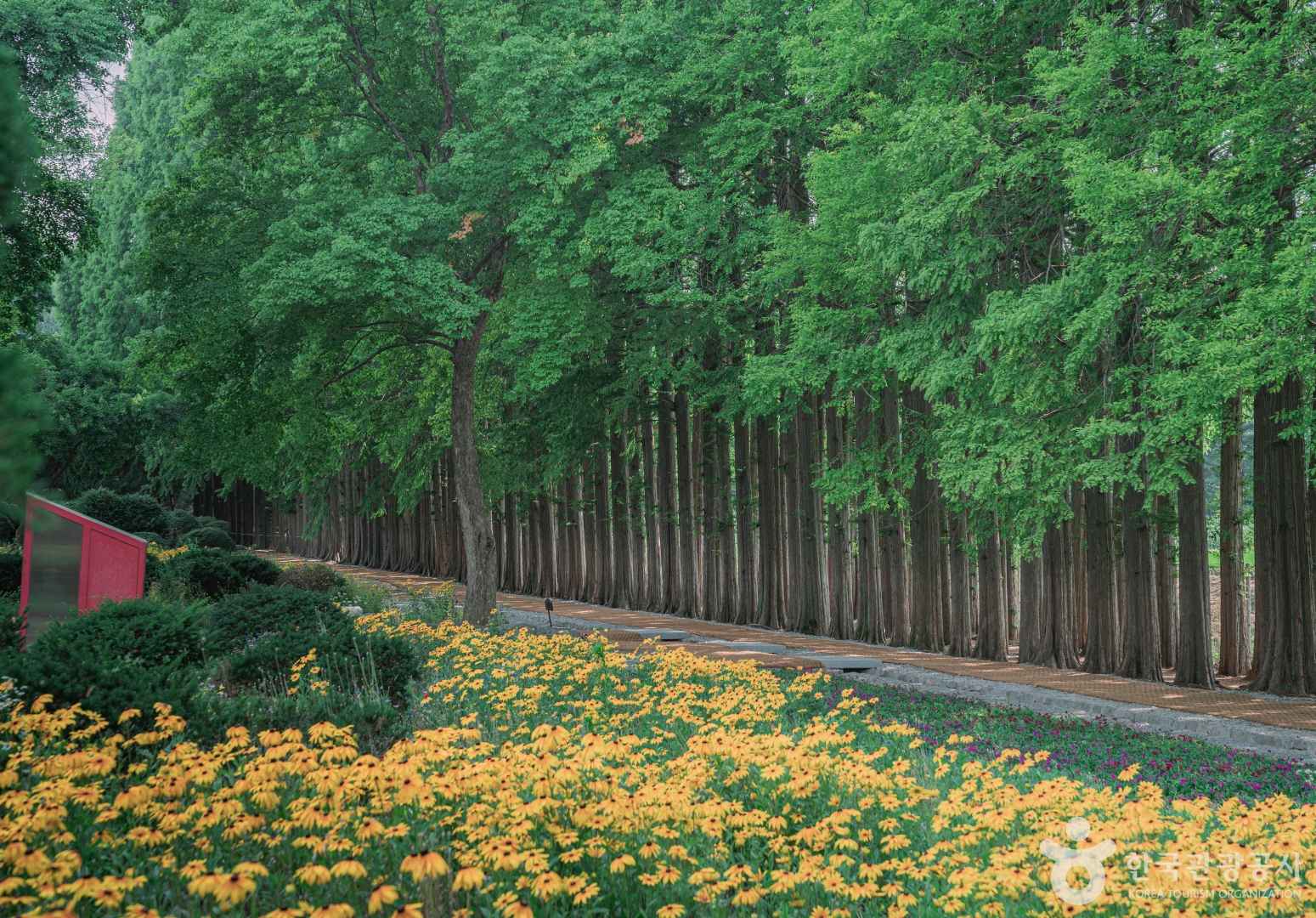 익산 아가페정원