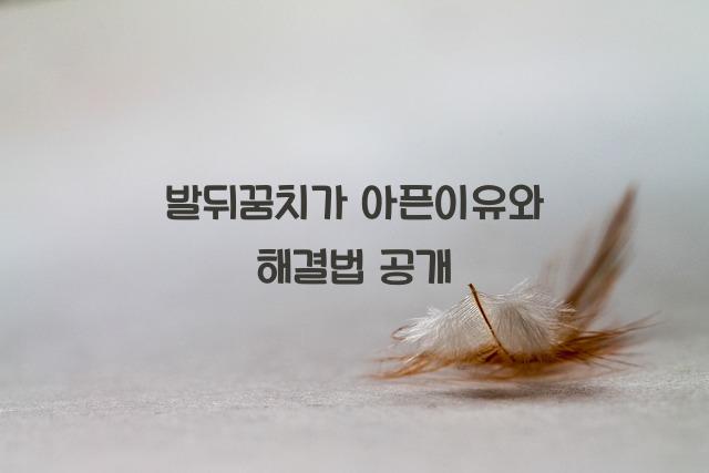 발뒤꿈치가 아픈이유