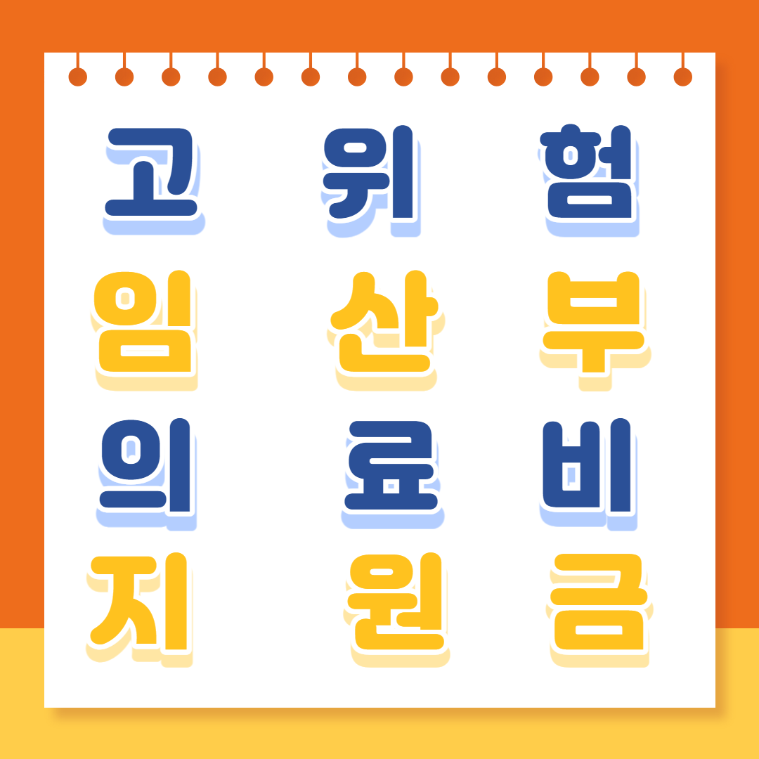고위험 임산부 의료비 지원금