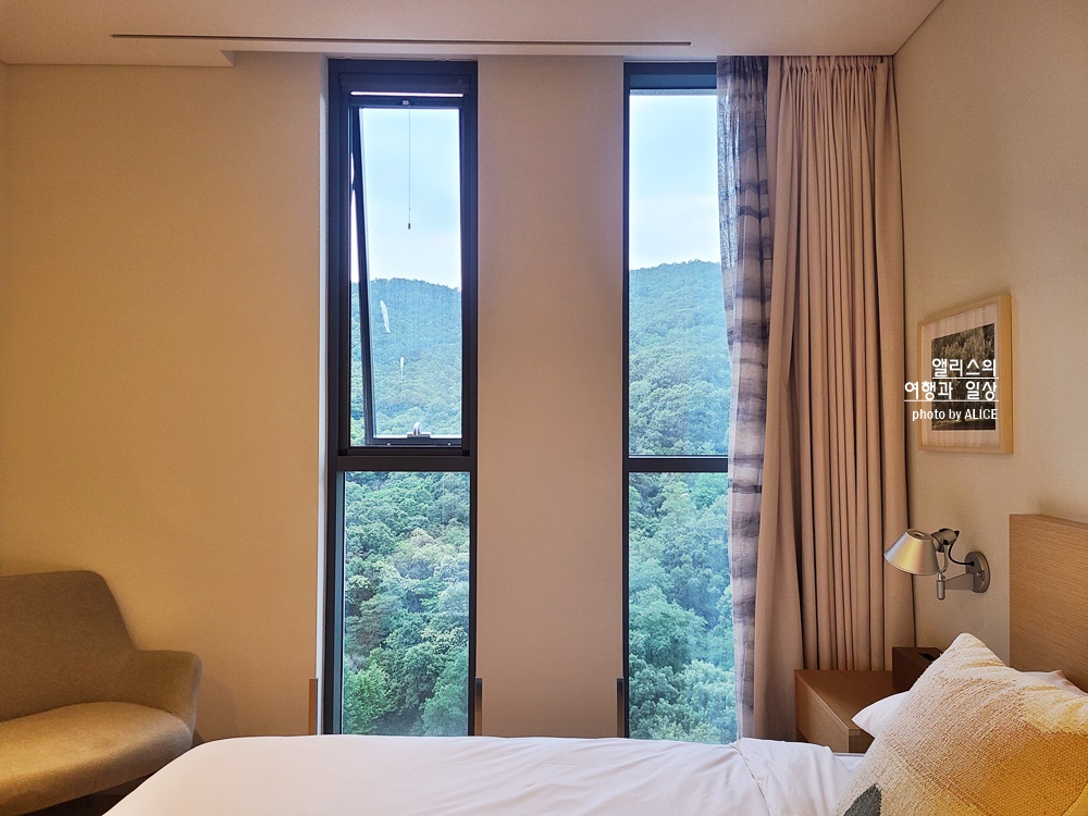 라까사호텔 광명 스탠다드 더블룸 후기, 가성비 좋은 아늑한 호텔, 숲뷰