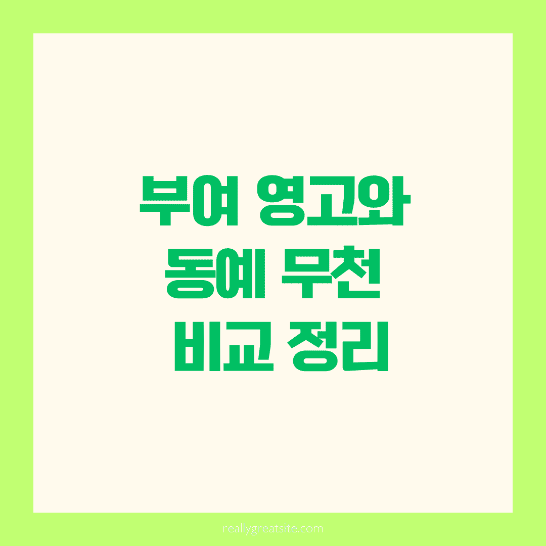 부여 영고와 동예 무천 비교 정리, 알고 보면 신비한 제천 행사예요!