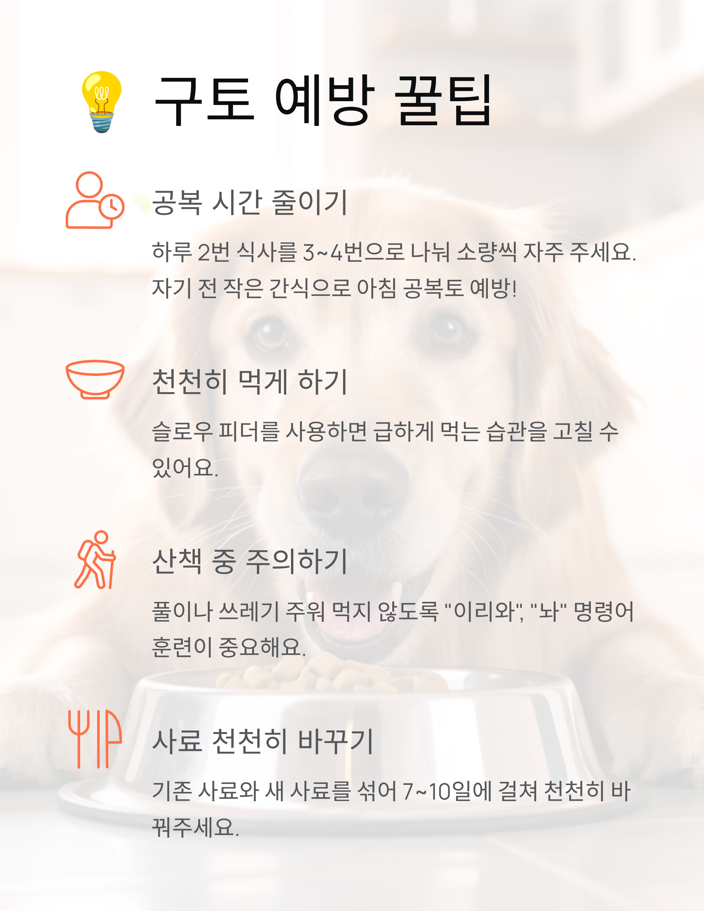 강아지 구토 🐕 색깔만 봐도 알 수 있는 응급상황 완벽 가이드