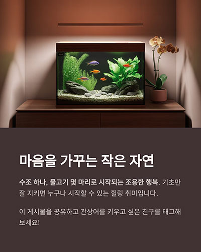 마음을 가꾸는 작은 자연