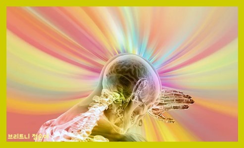 신경전달물질의 종류와 기능 사진