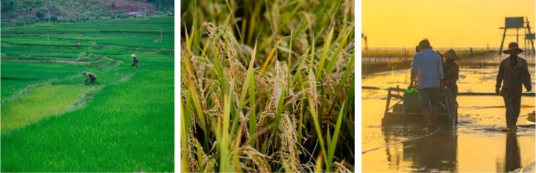 공익직불금_신청시_주의사항