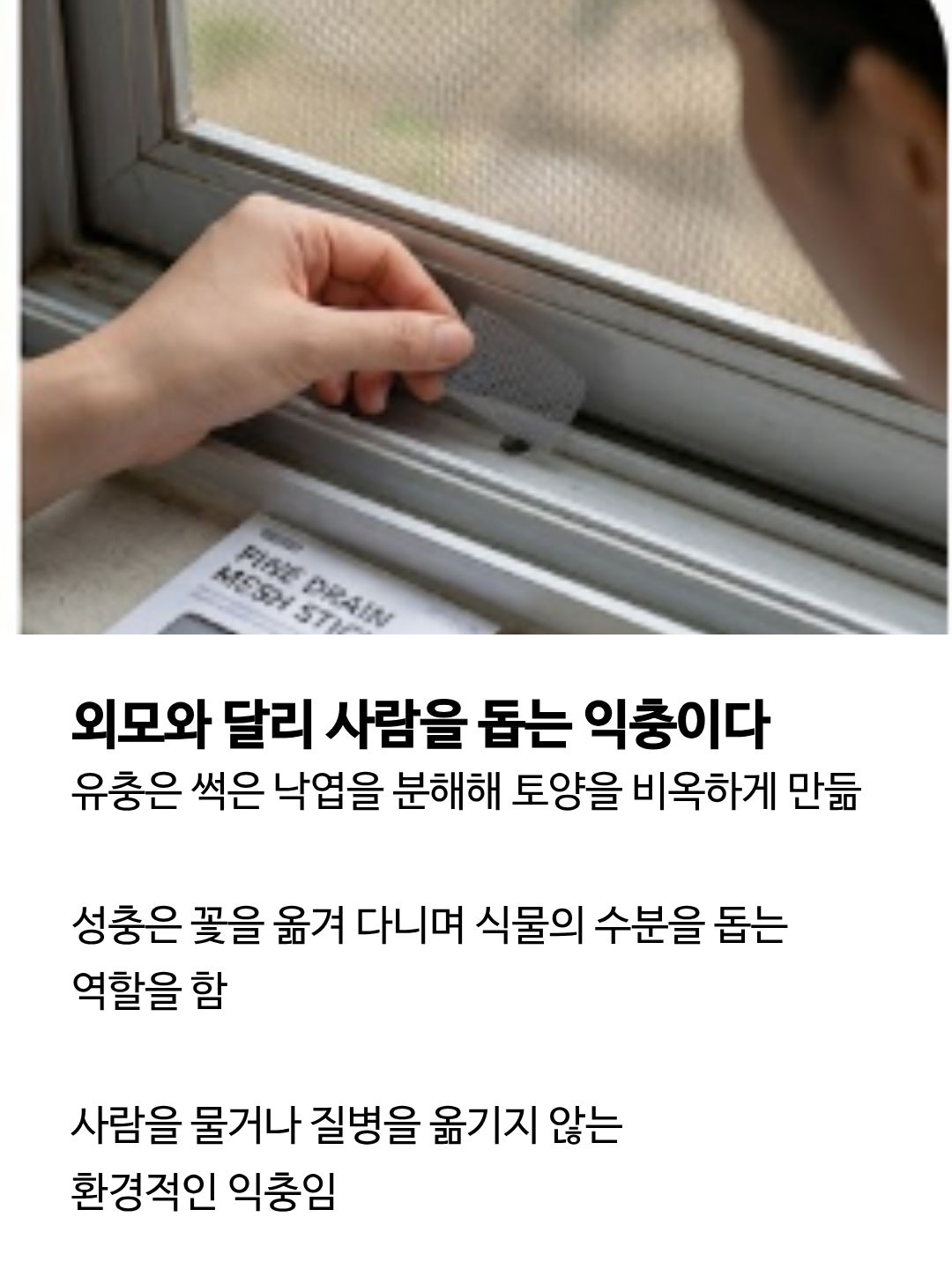 러브 버그 출몰시기