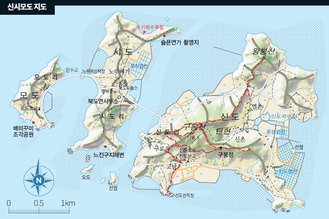 신시모도