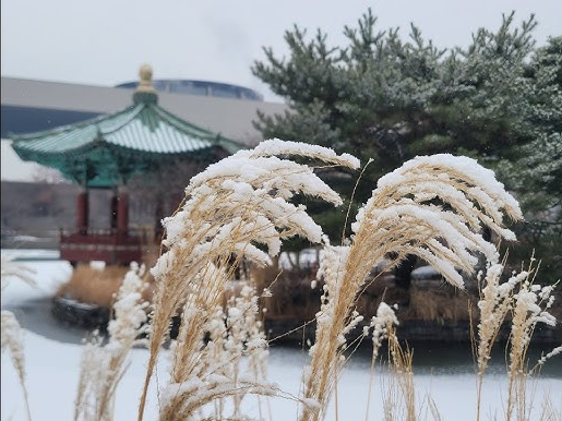 겨울에도 OK! 반려견과 함께하는 나들이 장소 BEST 7