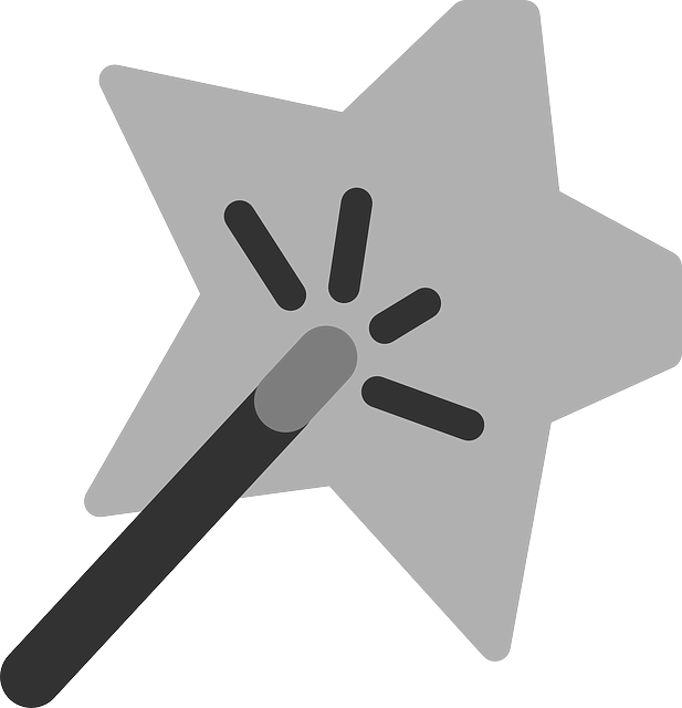 심리적 편향 -후광효과