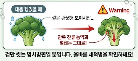 브로콜리 씻는방법