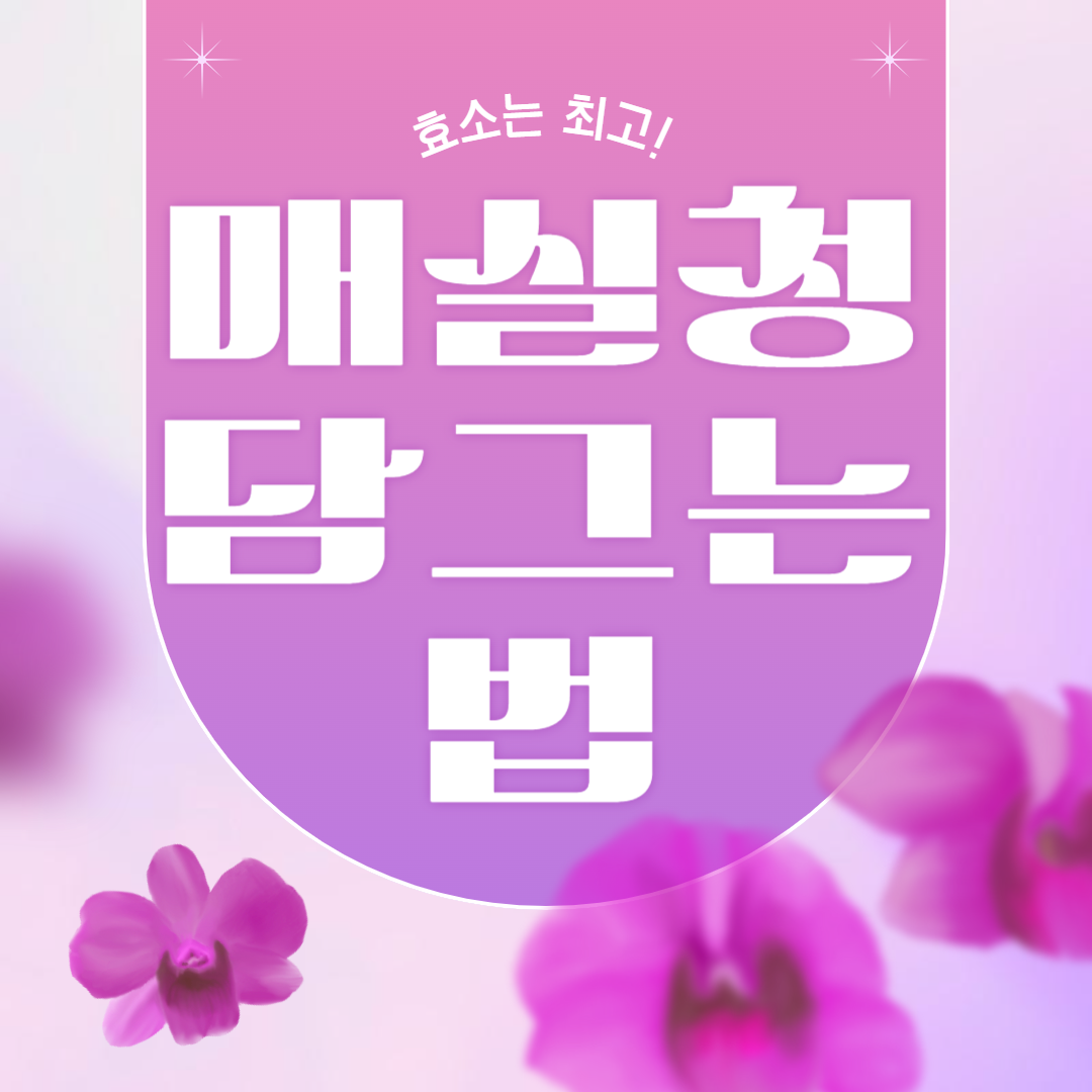 매실청 담그는 법 시기