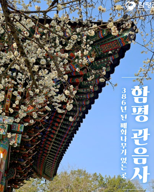 2025. 함평나비축제