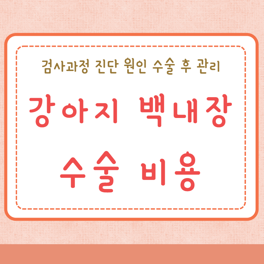 강아지 백내장 수술비용