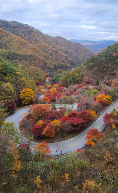 단풍 명소