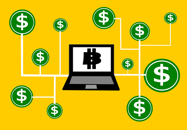 XRP 리플