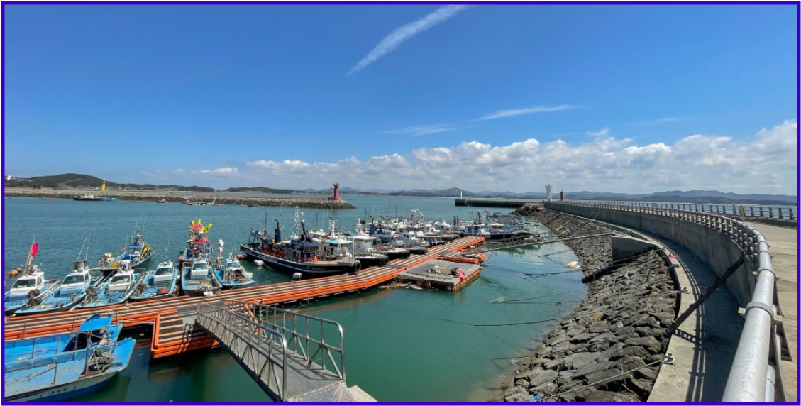 서천 동백꽃 주꾸미 축제 관련 사진