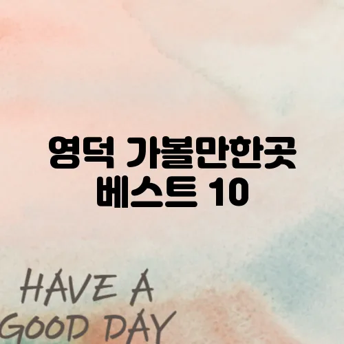 영덕 가볼만한곳 베스트 10