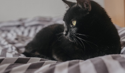 제품 비교 기준 관련 사진