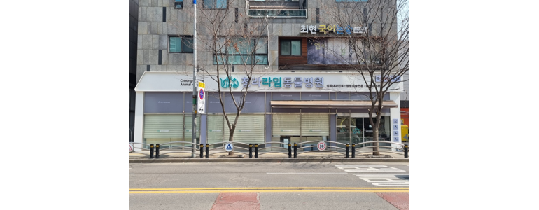 인천 서구 동물병원