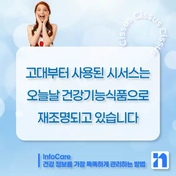 시서스 효능, 다이어트, 복용법