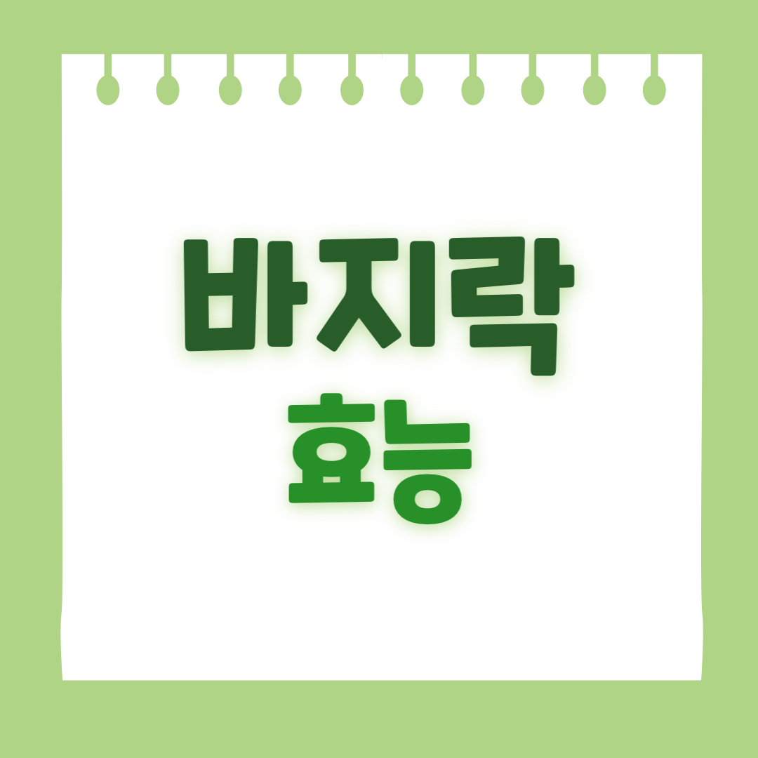 바지락의 효능