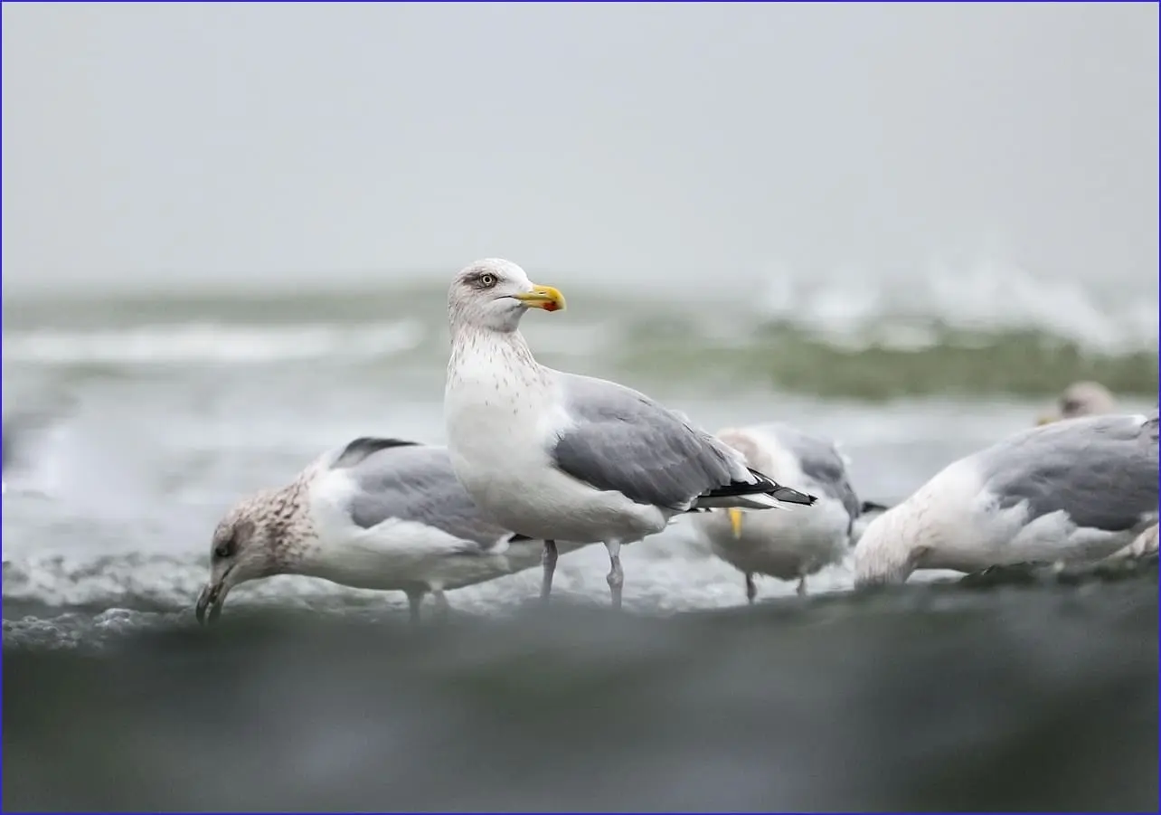 동네 한 바퀴 이만기