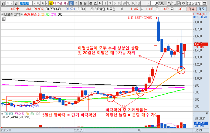 2월 21일 비보존제약 주가 일봉 차트