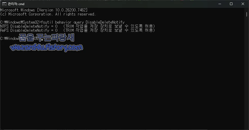 TRIM 활성화 확인