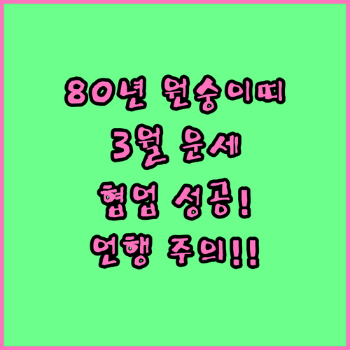 2026년 3월 1980년생 원숭이띠..