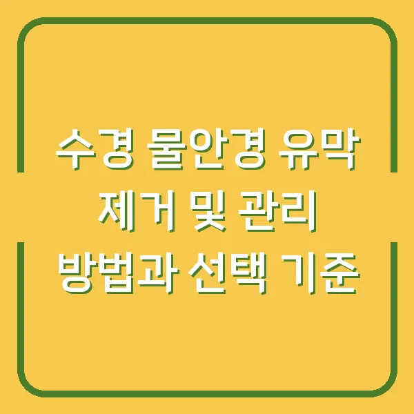 수경 물안경 유막 제거 및 관리 방법과 선택 기준
