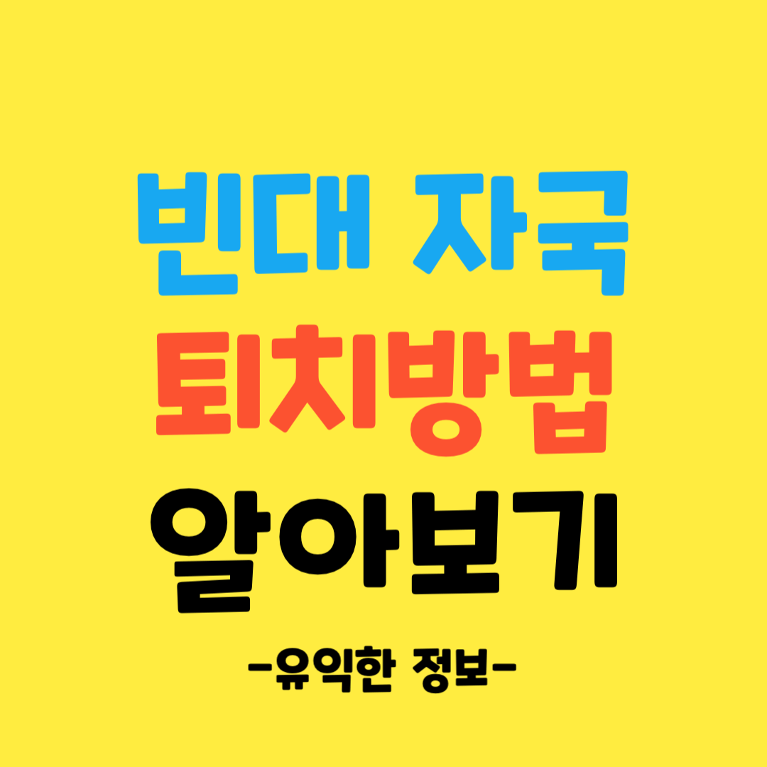 빈대-자국-퇴치-방법-알아보기