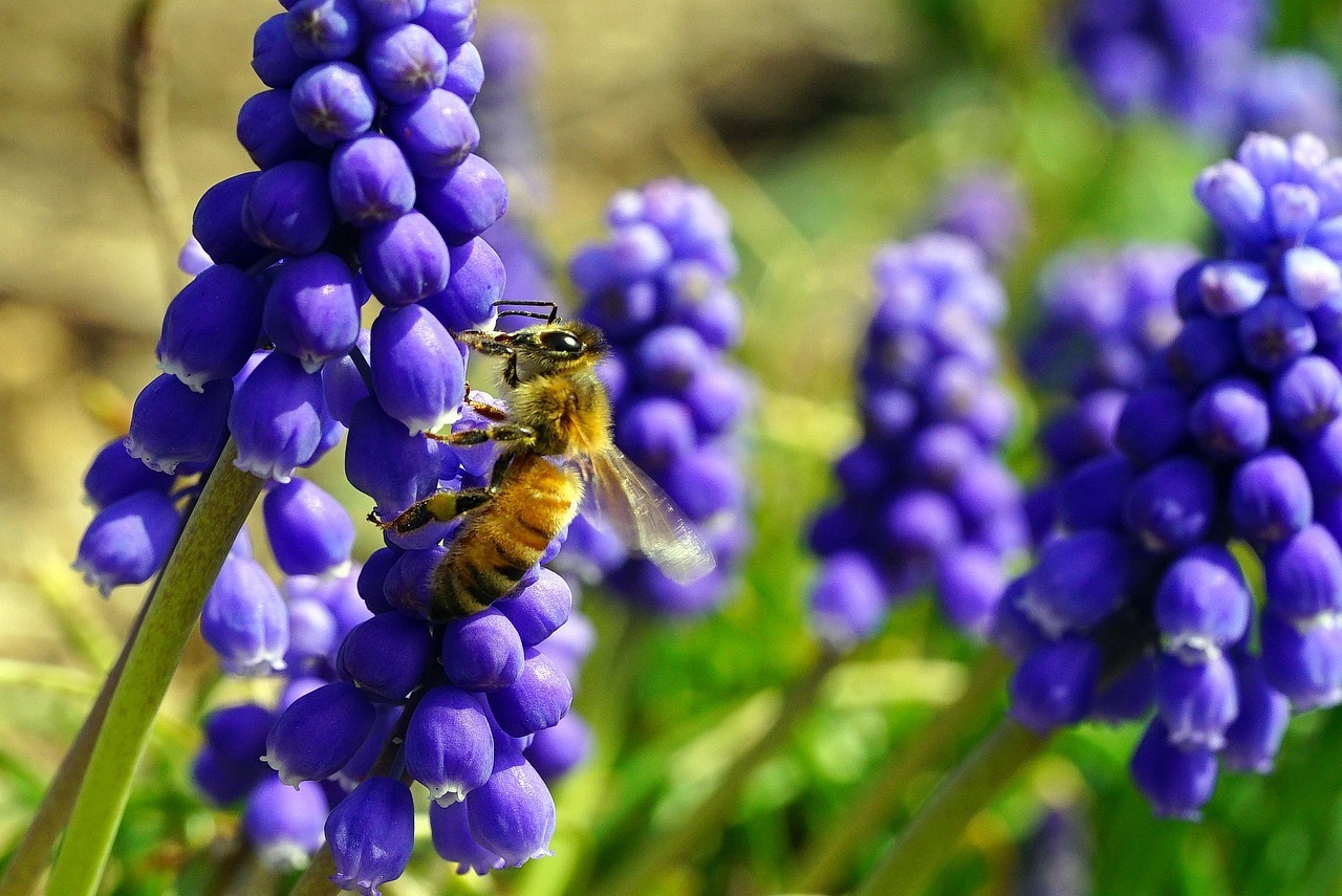 용인 가볼만한 곳 한택식물원 입장료