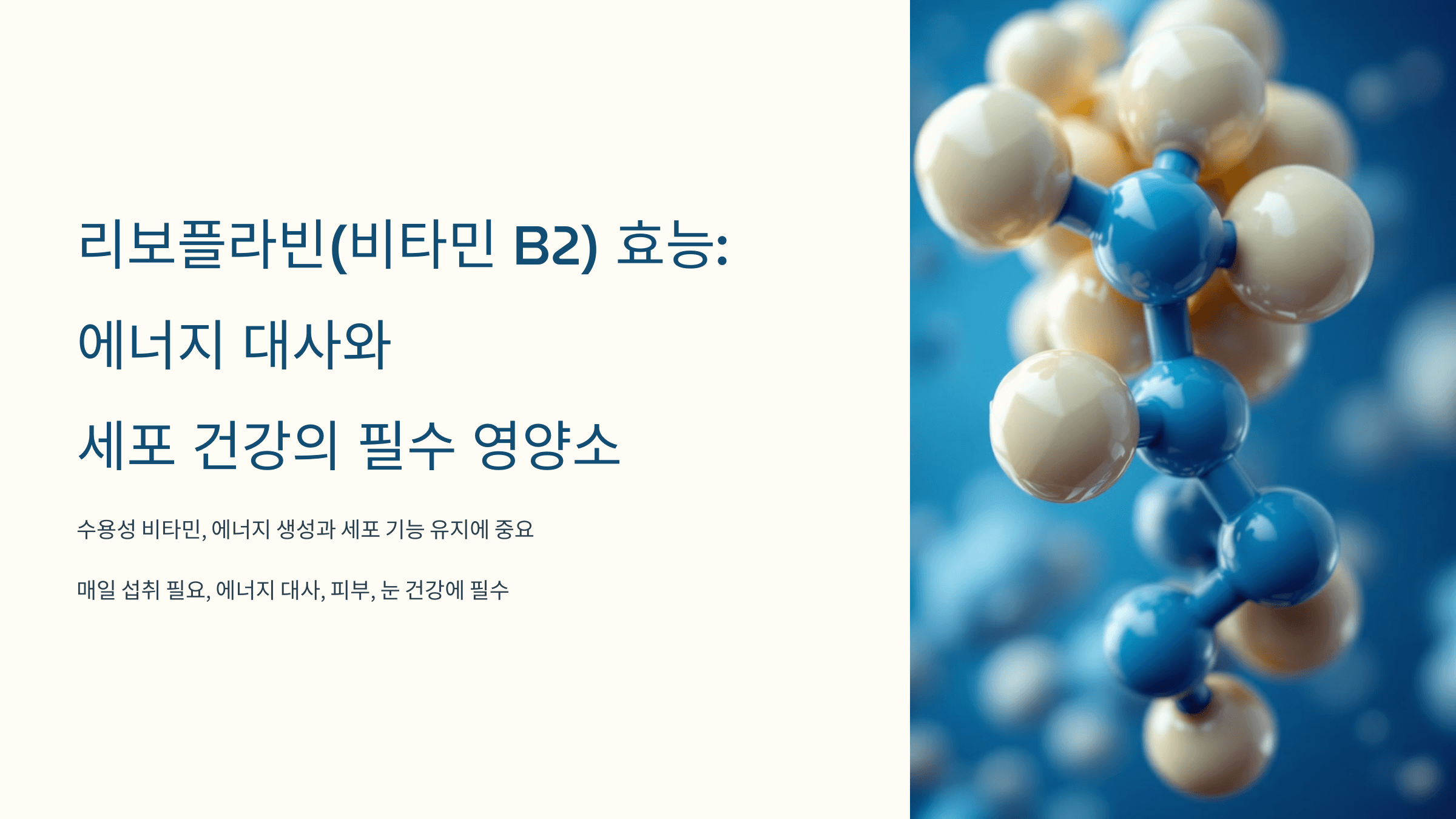 리보플라빈과 관련된 사진입니다.