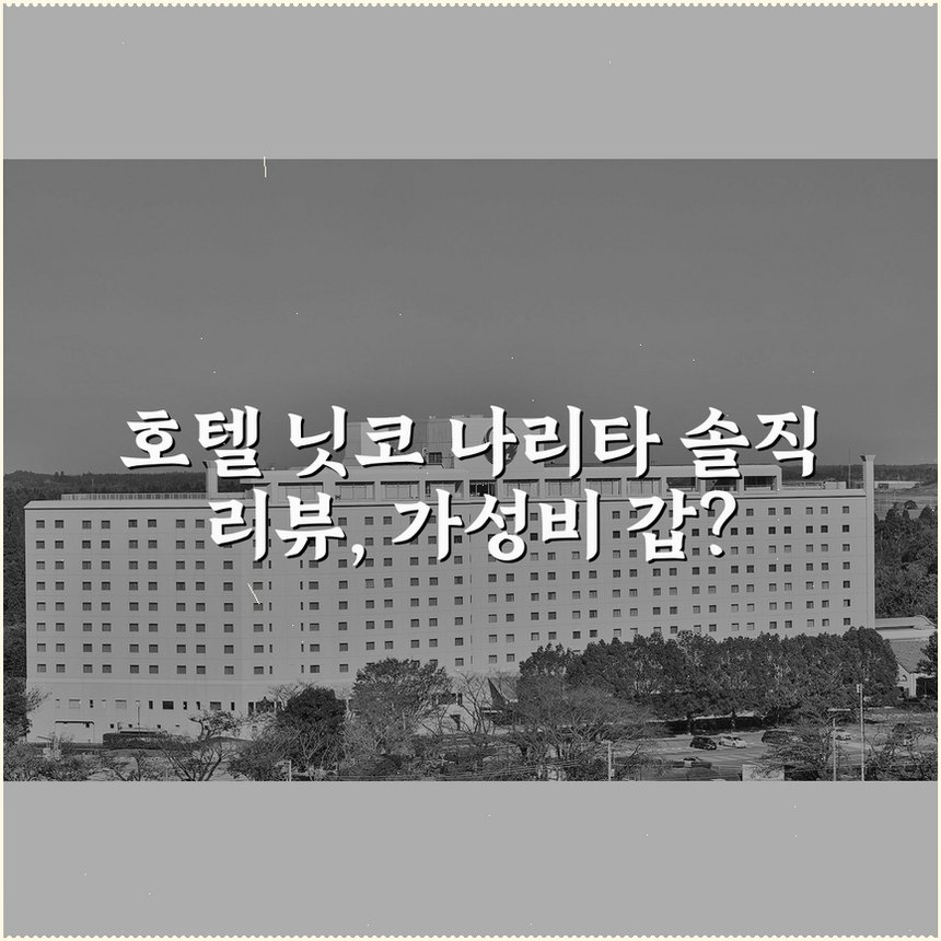 호텔 닛코 나리타 상세 보기